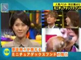 SmaSTATION(スマステーション)無料動画〜癒される!最新人気ペットランキングを大発表!〜111029