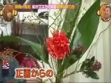 KAT-TUNの絶対マネたくなるTV 無料動画〜絶対マネたくなる“女性に贈る花束”/絶対マネたくなる“世界記録”〜111108