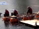 ザ!鉄腕!DASH!! 無料動画〜「DASH海岸〜アイナメ」「道草を食いながらどこまで行けるか?」下北半島・薬研渓流へ。〜120212
